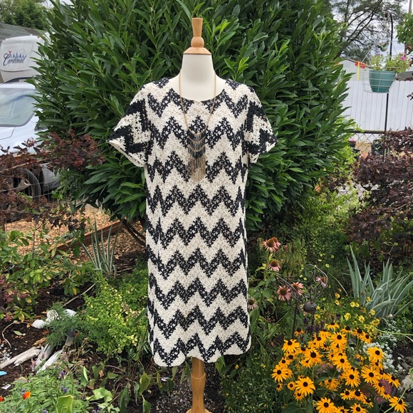 Talbots chevron lace shift dress - Picture 2 of 6